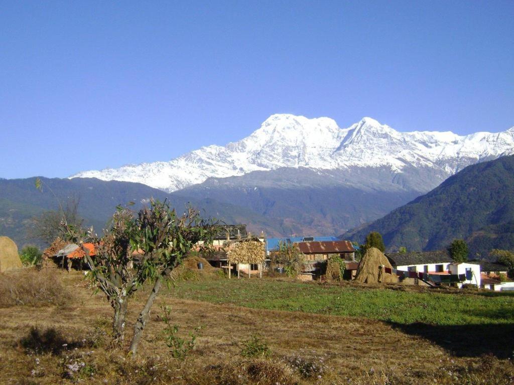 Mystique Highland Resort Pokhara Extérieur photo