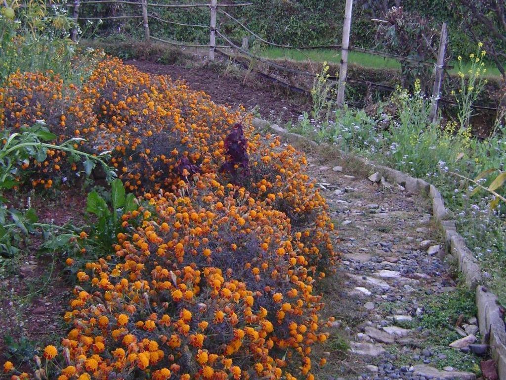 Mystique Highland Resort Pokhara Extérieur photo
