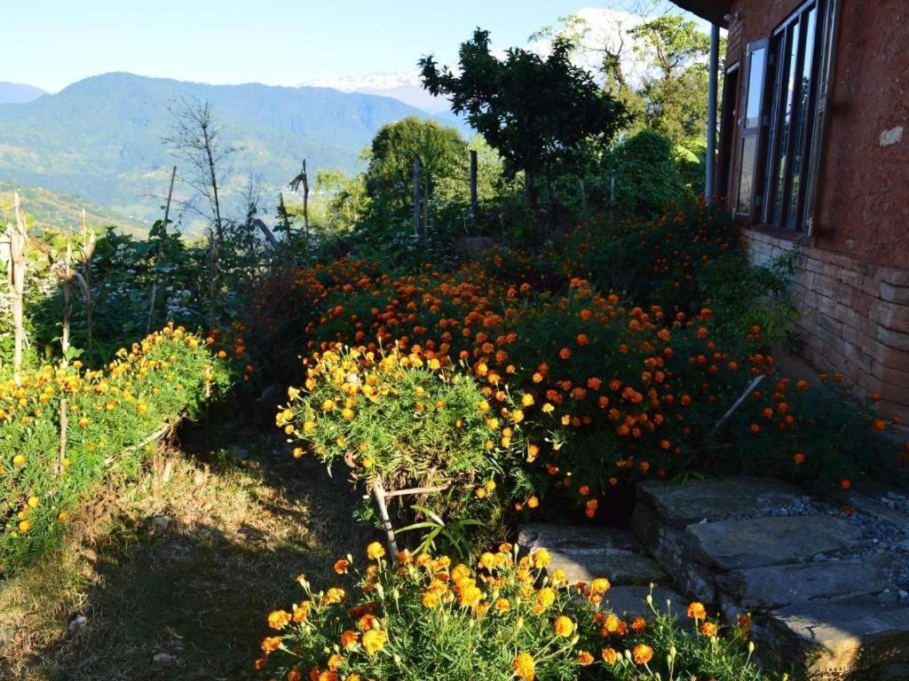 Mystique Highland Resort Pokhara Extérieur photo