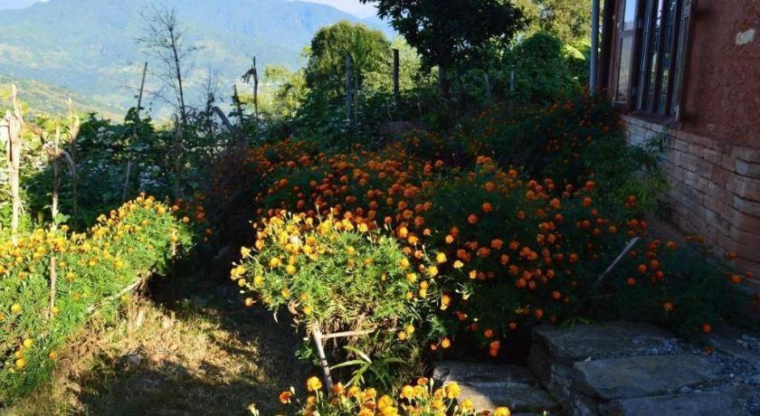 Mystique Highland Resort Pokhara Extérieur photo